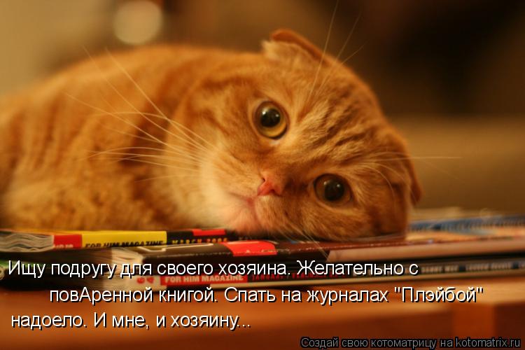Ищу подругу для своего хозяина. Желательно с повАренной книгой. Спать на журналах "Плэйбой" надоело... Котоматрица: Ищу подругу для своего хозяина. Желательно с повАренной книгой. Спать на журналах "Плэйбой" надоело. И мне, и хозяину...