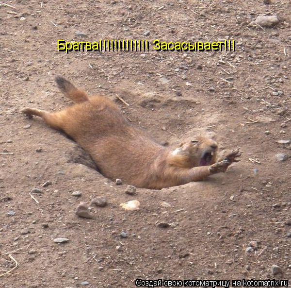 Братва!!!!!!!!!!!!! Засасывает!!! Братва!!!!!!!!!!!!! Засасывает!!!... Котоматрица: Братва!!!!!!!!!!!!! Засасывает!!! Братва!!!!!!!!!!!!! Засасывает!!!