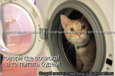 говори где сосиска! а то пытать будем! ладно,ладно!сосиска...в стиральной машинке.в коте.в желудке...... Котоматрица: говори где сосиска! а то пытать будем! ладно,ладно!сосиска...в стиральной машинке.в коте.в желудке...