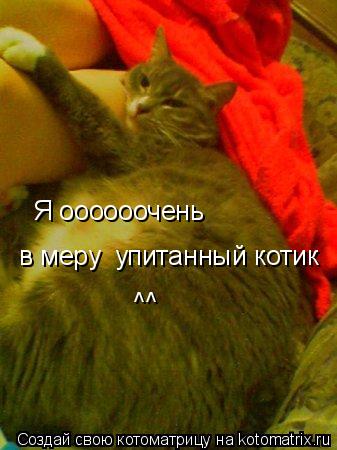 Я оооооочень в меру Я оооооочень в меру упитанный котик ^^... Котоматрица: Я оооооочень в меру Я оооооочень в меру упитанный котик ^^
