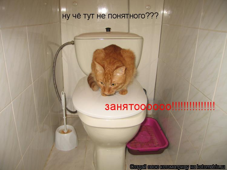 Котоматрица: ну чё тут не понятного???  занятоооооо!!!!!!!!!!!!!!!