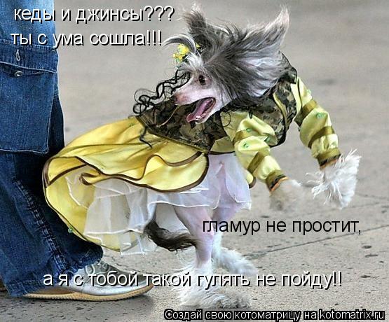 кеды и джинсы??? ты с ума сошла!!! гламур не простит, а я с тобой такой гулять не пойду!!... Котоматрица: кеды и джинсы??? ты с ума сошла!!! гламур не простит, а я с тобой такой гулять не пойду!!