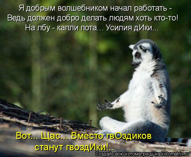Котоматрица: Я добрым волшебником начал работать -  Ведь должен добро делать людям хоть кто-то! На лбу - капли пота... Усилия дИки... Вот... Щас... Вместо гвОзд
