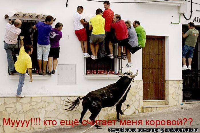 Муууу!!!! кто ещё считает меня коровой??... Котоматрица: Муууу!!!! кто ещё считает меня коровой??