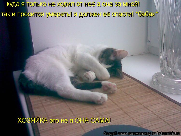 так и просится умереть! я должен её спасти! *бабах* ХОЗЯЙКА это не я ОНА САМА! куда я только не ходи... Котоматрица: так и просится умереть! я должен её спасти! *бабах* ХОЗЯЙКА это не я ОНА САМА! куда я только не ходил от неё а она за мной!