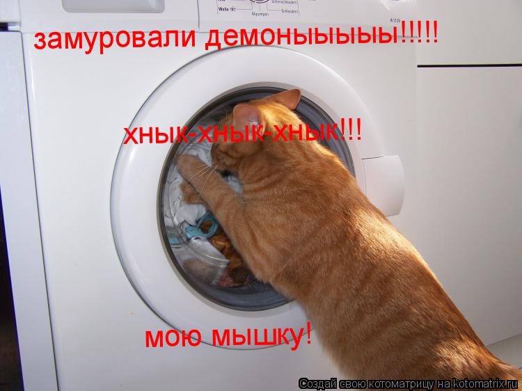 замуровали демоныыыыы!!!!! мою мышку! хнык-хнык-хнык!!!... Котоматрица: замуровали демоныыыыы!!!!! мою мышку! хнык-хнык-хнык!!!