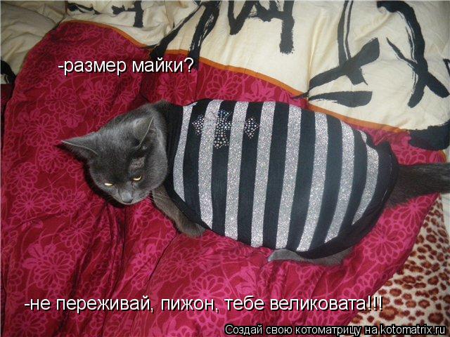 -размер майки? -не переживай, пижон, тебе великовата!!!... Котоматрица: -размер майки? -не переживай, пижон, тебе великовата!!!