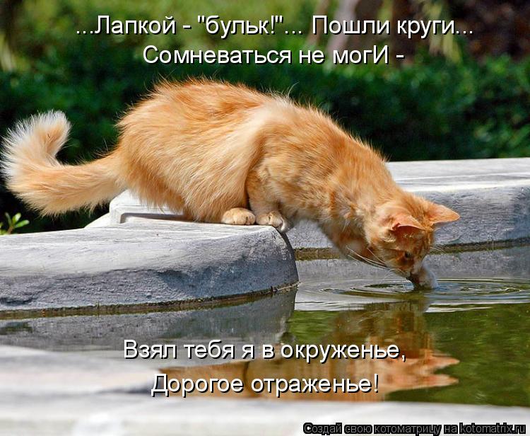 Котоматрица: ...Лапкой - "бульк!"... Пошли круги... Сомневаться не могИ -  Взял тебя я в окруженье, Дорогое отраженье!