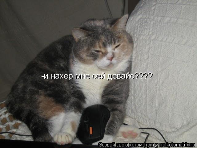 -и нахер мне сей девайс????... Котоматрица: -и нахер мне сей девайс????
