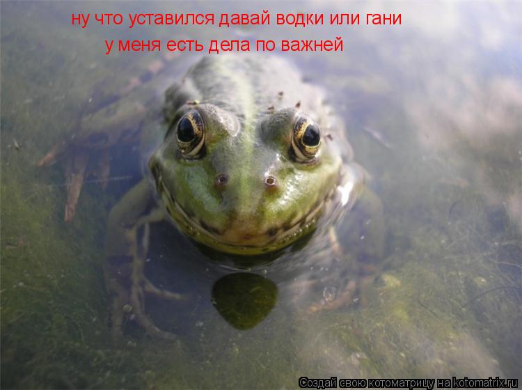ну что уставился давай водки или гани у меня есть дела по важней... Котоматрица: ну что уставился давай водки или гани у меня есть дела по важней