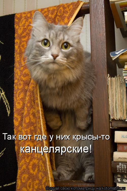 Так вот где у них крысы-то канцелярские!... Котоматрица: Так вот где у них крысы-то канцелярские!