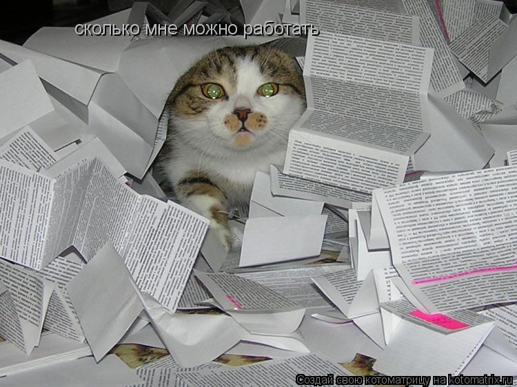 сколько мне можно работать... Котоматрица: сколько мне можно работать