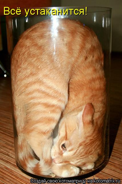 Всё устаканится!... Котоматрица: Всё устаканится!