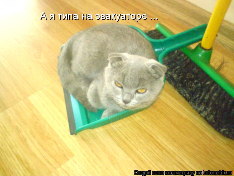А я типа на эвакуаторе ...... Котоматрица: А я типа на эвакуаторе ...