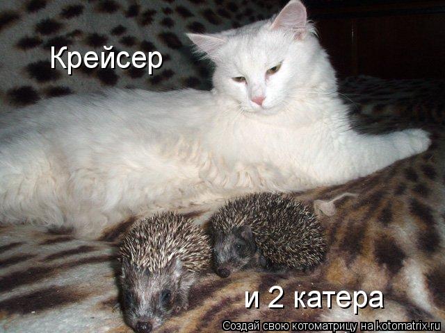и 2 катера Крейсер... Котоматрица: и 2 катера Крейсер