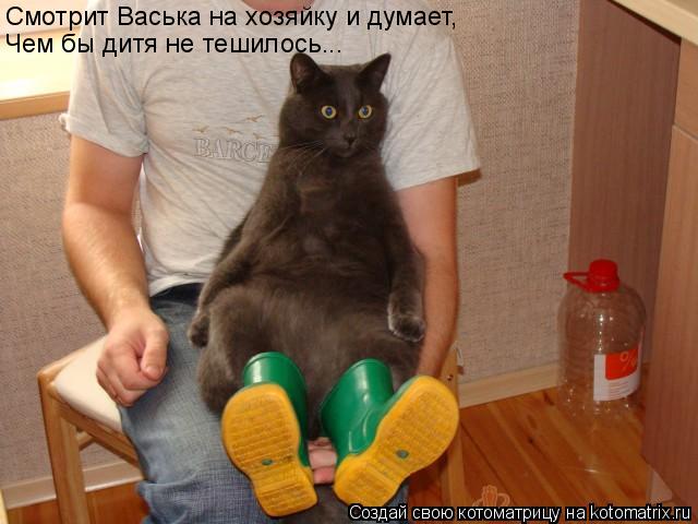 Смотрит Васька на хозяйку и думает, Чем бы дитя не тешилось...... Котоматрица: Смотрит Васька на хозяйку и думает, Чем бы дитя не тешилось...