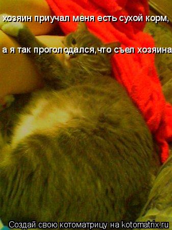 хозяин приучал меня есть сухой корм, а я так проголодался,что съел хозяина.... Котоматрица: хозяин приучал меня есть сухой корм, а я так проголодался,что съел хозяина.
