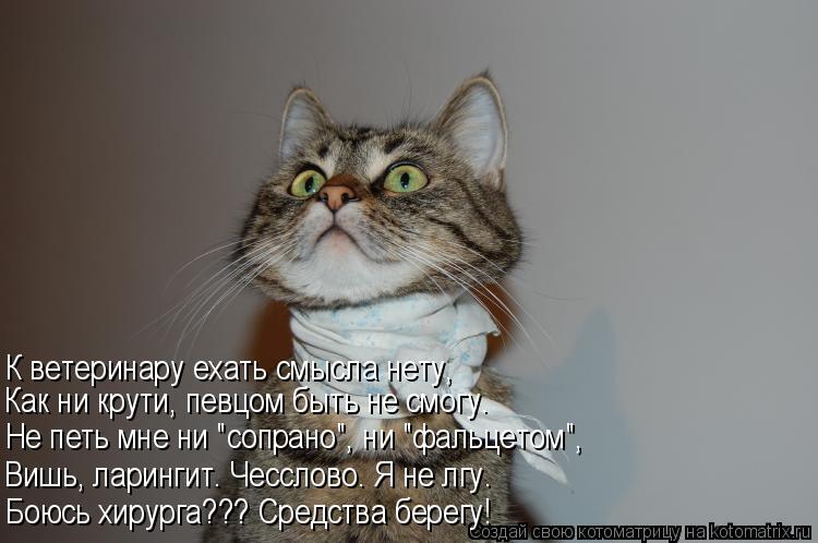 К ветеринару ехать смысла нету, Как ни крути, певцом быть не смогу. Не петь мне ни "сопрано", ни "фал... Котоматрица: К ветеринару ехать смысла нету, Как ни крути, певцом быть не смогу. Не петь мне ни "сопрано", ни "фальцетом", Вишь, ларингит. Чесслово. Я не лгу.