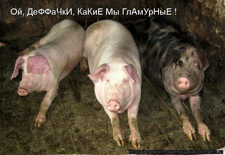 Ой, ДеФФаЧкИ, КаКиЕ Мы ГлАмУрНыЕ !... Котоматрица: Ой, ДеФФаЧкИ, КаКиЕ Мы ГлАмУрНыЕ !