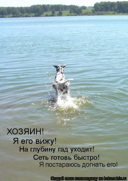 ХОЗЯИН! Я его вижу! На глубину гад уходит! Сеть готовь быстро! Я постараюсь догнать его!... Котоматрица: ХОЗЯИН! Я его вижу! На глубину гад уходит! Сеть готовь быстро! Я постараюсь догнать его!