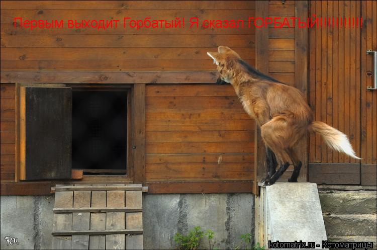 Первым выходит Горбатый! Я сказал ГОРБАТЫЙ!!!!!!!!!!!... Котоматрица: Первым выходит Горбатый! Я сказал ГОРБАТЫЙ!!!!!!!!!!!