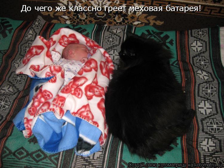 До чего же классно греет меховая батарея!... Котоматрица: До чего же классно греет меховая батарея!
