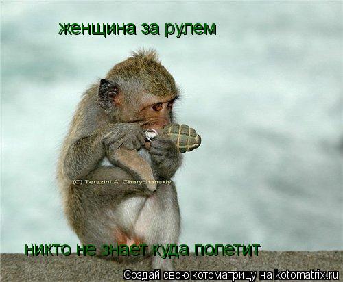 женщина за рулем никто не знает куда полетит... Котоматрица: женщина за рулем никто не знает куда полетит