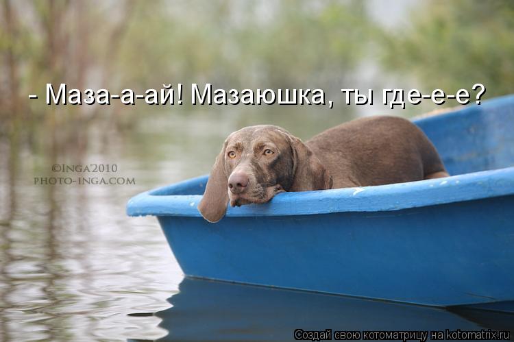 - Маза-а-ай! Мазаюшка, ты где-е-е?... Котоматрица: - Маза-а-ай! Мазаюшка, ты где-е-е?