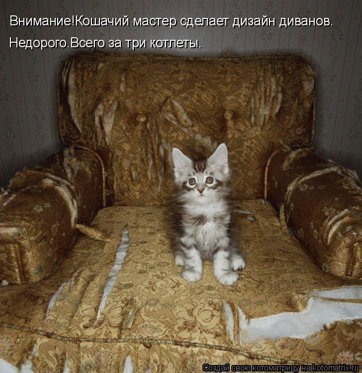 Внимание!Кошачий мастер сделает дизайн диванов. Недорого.Всего за три котлеты.... Котоматрица: Внимание!Кошачий мастер сделает дизайн диванов. Недорого.Всего за три котлеты.