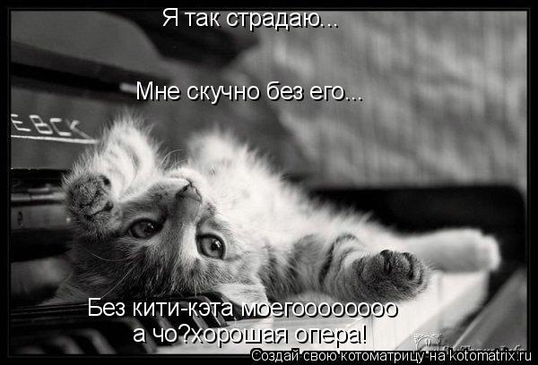 Я так страдаю... Мне скучно без его... Без кити-кэта моегоооооооо а чо?хорошая опера!... Котоматрица: Я так страдаю... Мне скучно без его... Без кити-кэта моегоооооооо а чо?хорошая опера!