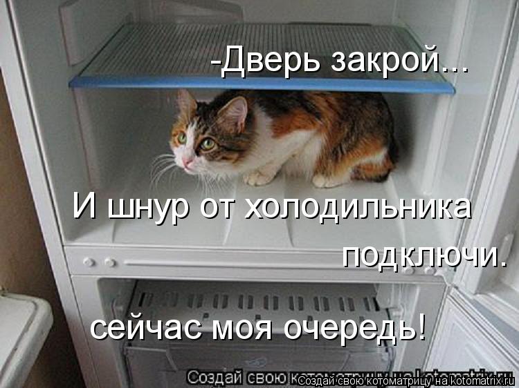 -Дверь закрой... И шнур от холодильника подключи. сейчас моя очередь!... Котоматрица: -Дверь закрой... И шнур от холодильника подключи. сейчас моя очередь!