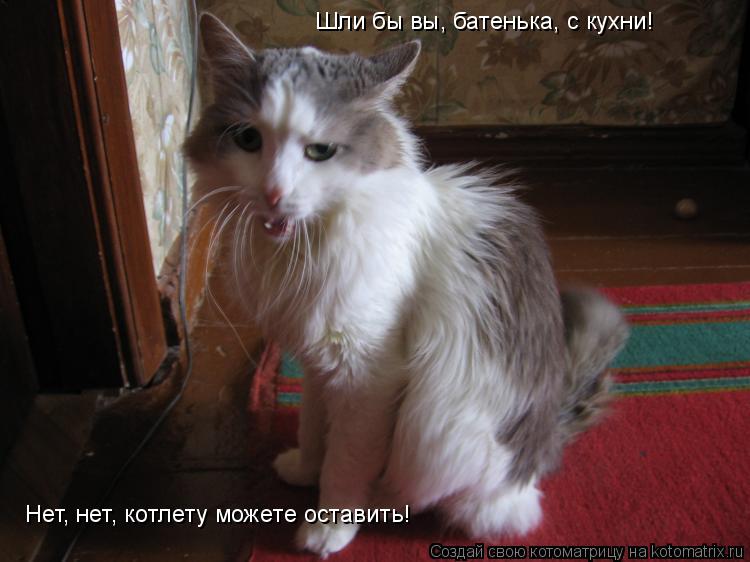 Шли бы вы, батенька, с кухни! Нет, нет, котлету можете оставить!... Котоматрица: Шли бы вы, батенька, с кухни! Нет, нет, котлету можете оставить!
