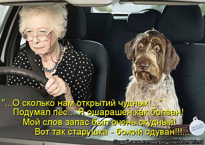 Котоматрица: "...О сколько нам открытий чудных!..." Подумал пёс... Я ошарашен,как болван! Мой слов запас был очень скудный! Вот так старушка - божий одуван!!!...