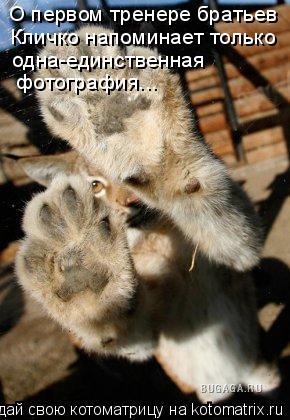 О первом тренере братьев Кличко напоминает только одна-единственная фотография...... Котоматрица: О первом тренере братьев Кличко напоминает только одна-единственная фотография...