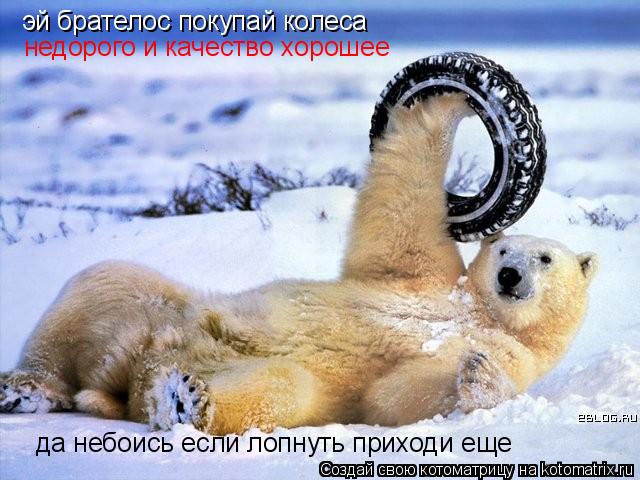 эй брателос покупай колеса недорого и качество хорошее да небоись если лопнуть приходи еще... Котоматрица: эй брателос покупай колеса недорого и качество хорошее да небоись если лопнуть приходи еще