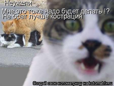 Неужели Мне это тоже надо будет делать !? Не брат лучше кострация... Котоматрица: Неужели Мне это тоже надо будет делать !? Не брат лучше кострация