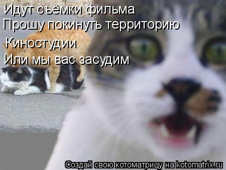 Идут съёмки фильма Прошу покинуть территорию Киностудии Или мы вас засудим... Котоматрица: Идут съёмки фильма Прошу покинуть территорию Киностудии Или мы вас засудим