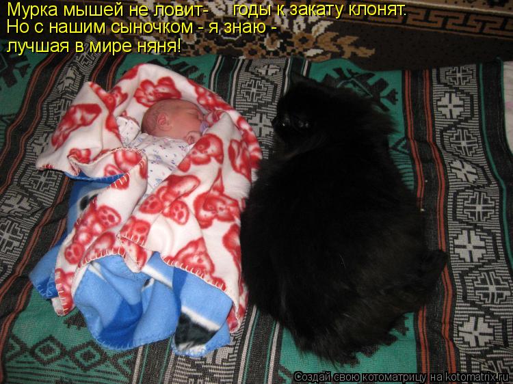 Котоматрица: Мурка мышей не ловит- Мурка мышей не ловит- годы к закату клонят. Но с нашим сыночком - я знаю - лучшая в мире няня!