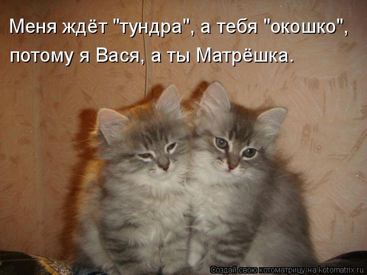 Меня ждёт "тундра", а тебя "окошко", потому я Вася, а ты Матрёшка.... Котоматрица: Меня ждёт "тундра", а тебя "окошко", потому я Вася, а ты Матрёшка.