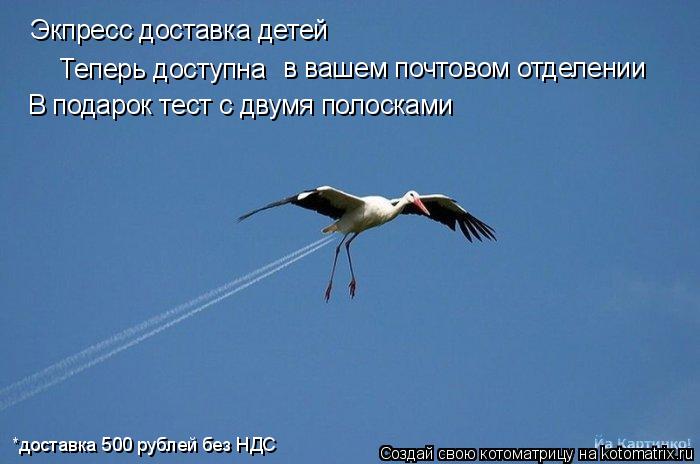 Экпресс доставка детей Теперь доступна в вашем почтовом отделении В подарок тест с двумя полосками *... Котоматрица: Экпресс доставка детей Теперь доступна в вашем почтовом отделении В подарок тест с двумя полосками *доставка 500 рублей без НДС