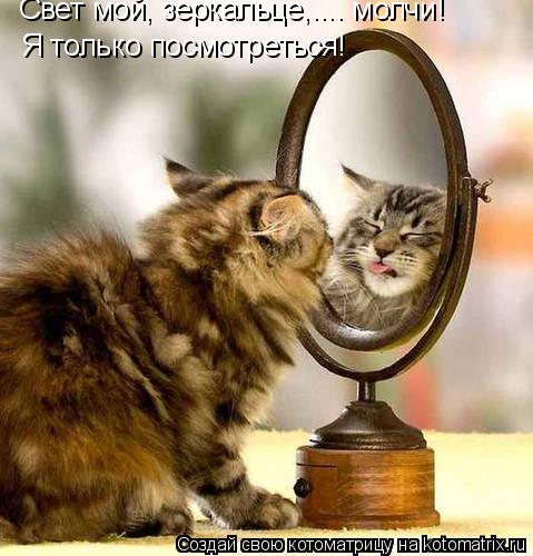 Свет мой, зеркальце,.... молчи! Я только посмотреться!... Котоматрица: Свет мой, зеркальце,.... молчи! Я только посмотреться!