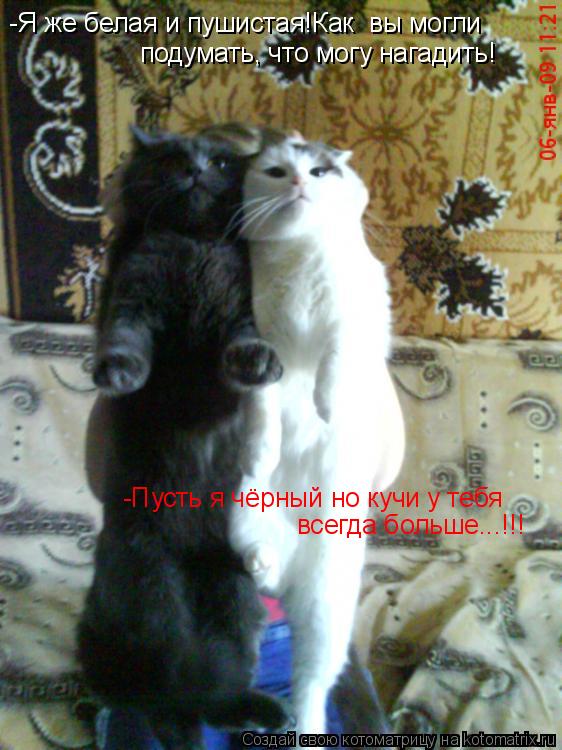 -Я же белая и пушистая!Как вы могли подумать, что могу нагадить! -Пусть я чёрный но кучи у тебя вс... Котоматрица: -Я же белая и пушистая!Как вы могли подумать, что могу нагадить! -Пусть я чёрный но кучи у тебя всегда больше...!!!