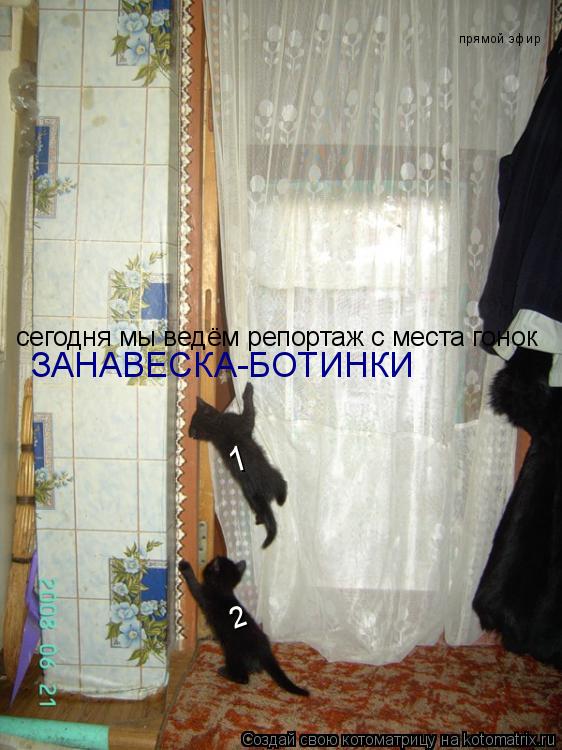 прямой эфир сегодня мы ведём репортаж с места гонок ЗАНАВЕСКА-БОТИНКИ 1 2... Котоматрица: прямой эфир сегодня мы ведём репортаж с места гонок ЗАНАВЕСКА-БОТИНКИ 1 2