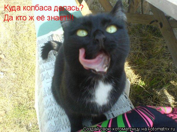 Куда колбаса делась? Да кто ж её знает!!!... Котоматрица: Куда колбаса делась? Да кто ж её знает!!!