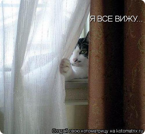 Я ВСЕ ВИЖУ...... Котоматрица: Я ВСЕ ВИЖУ...