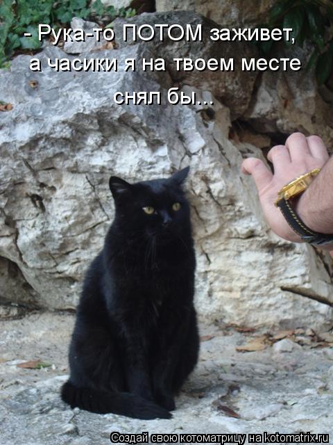 - Рука-то ПОТОМ заживет, а часики я на твоем месте снял бы...... Котоматрица: - Рука-то ПОТОМ заживет, а часики я на твоем месте снял бы...