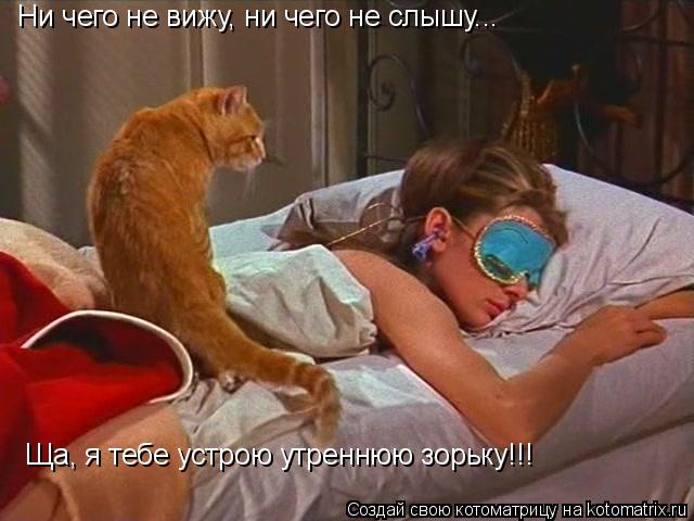 Ни чего не вижу, ни чего не слышу... Ща, я тебе устрою утреннюю зорьку!!!... Котоматрица: Ни чего не вижу, ни чего не слышу... Ща, я тебе устрою утреннюю зорьку!!!