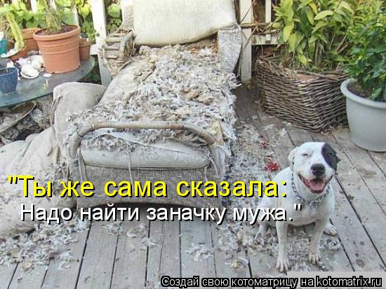 "Ты же сама сказала: Надо найти заначку мужа."... Котоматрица: "Ты же сама сказала: Надо найти заначку мужа."
