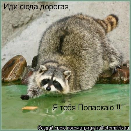 Иди сюда дорогая, Я тебя Поласкаю!!!!... Котоматрица: Иди сюда дорогая, Я тебя Поласкаю!!!!