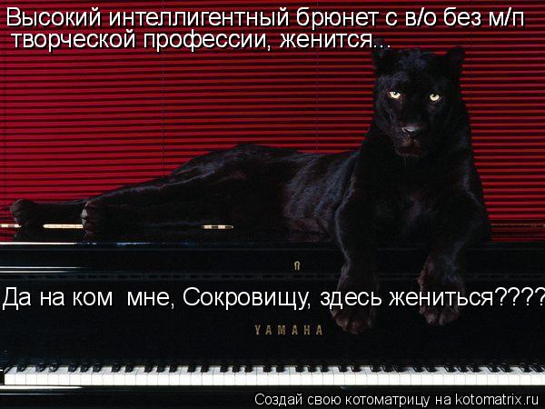 Высокий интеллигентный брюнет с в/о без м/п Высокий интеллигентный брюнет с в/о без м/п творческой пр... Котоматрица: Высокий интеллигентный брюнет с в/о без м/п Высокий интеллигентный брюнет с в/о без м/п творческой профессии, женится... творческой професси